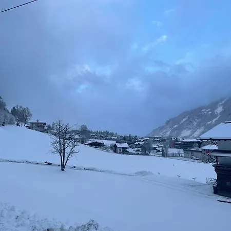 Haus Pfister 公寓 *