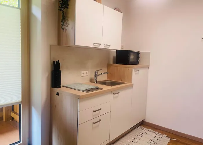 Apartamento Haus Pfister Kaltenbach